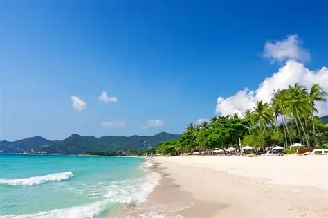 Palm-lined white-sand beach and turquoise sea on Koh Samui