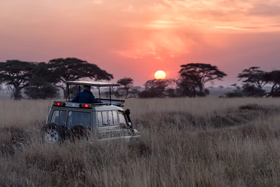 Elephants on an African safari plain